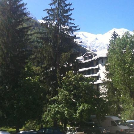 Appartement Chamonix - Vue Mont Blanc Dış mekan fotoğraf